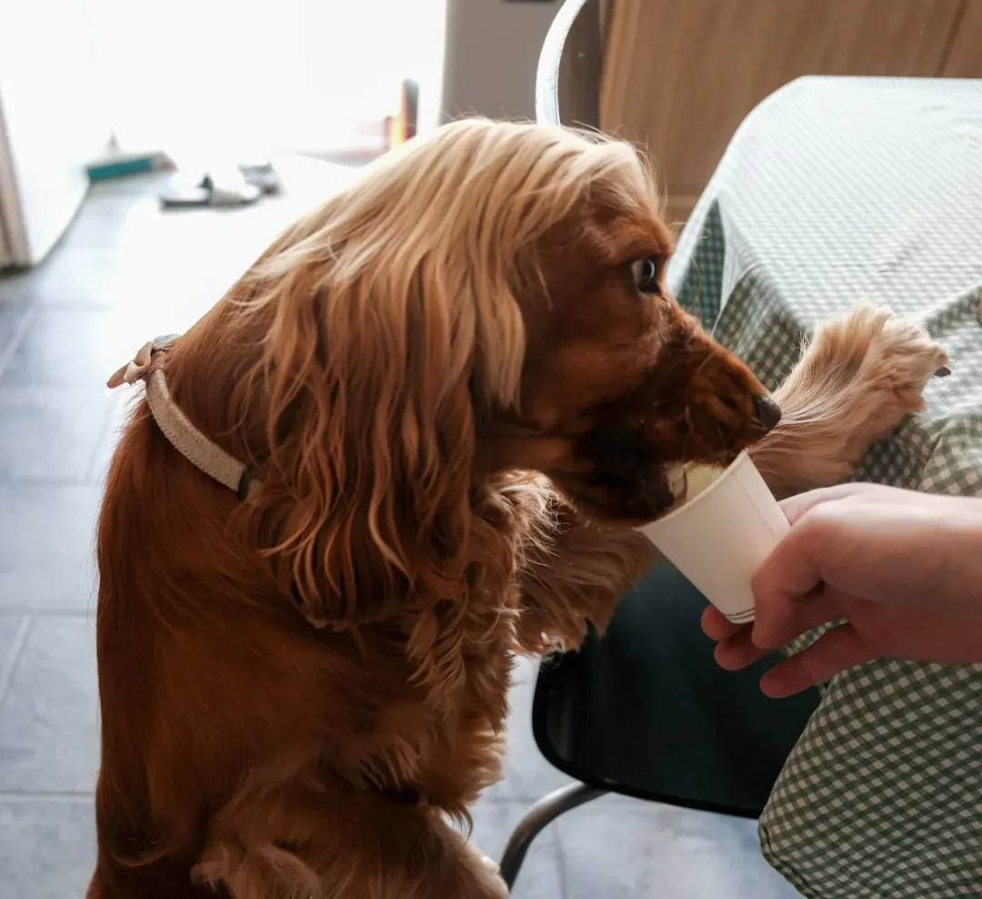 7. They Use Social Inference to Figure Things Out (Image Credits: Unsplash)