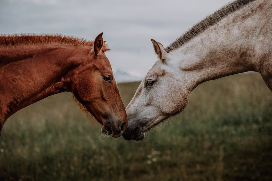 Communication Secrets From the Range (Image Credits: Unsplash)