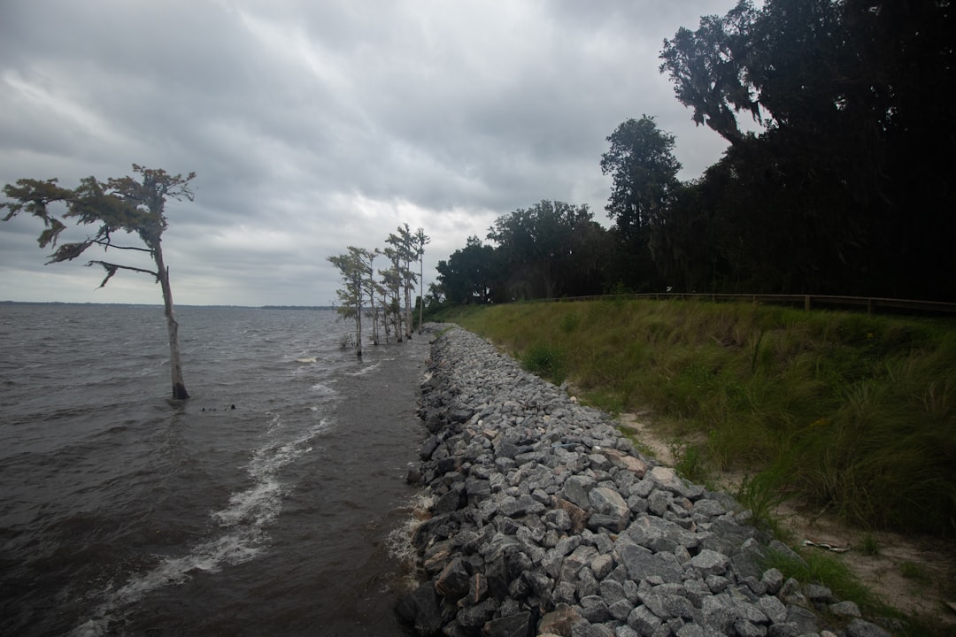 Georgia: Peach State's Coastal Crisis (Image Credits: Unsplash)