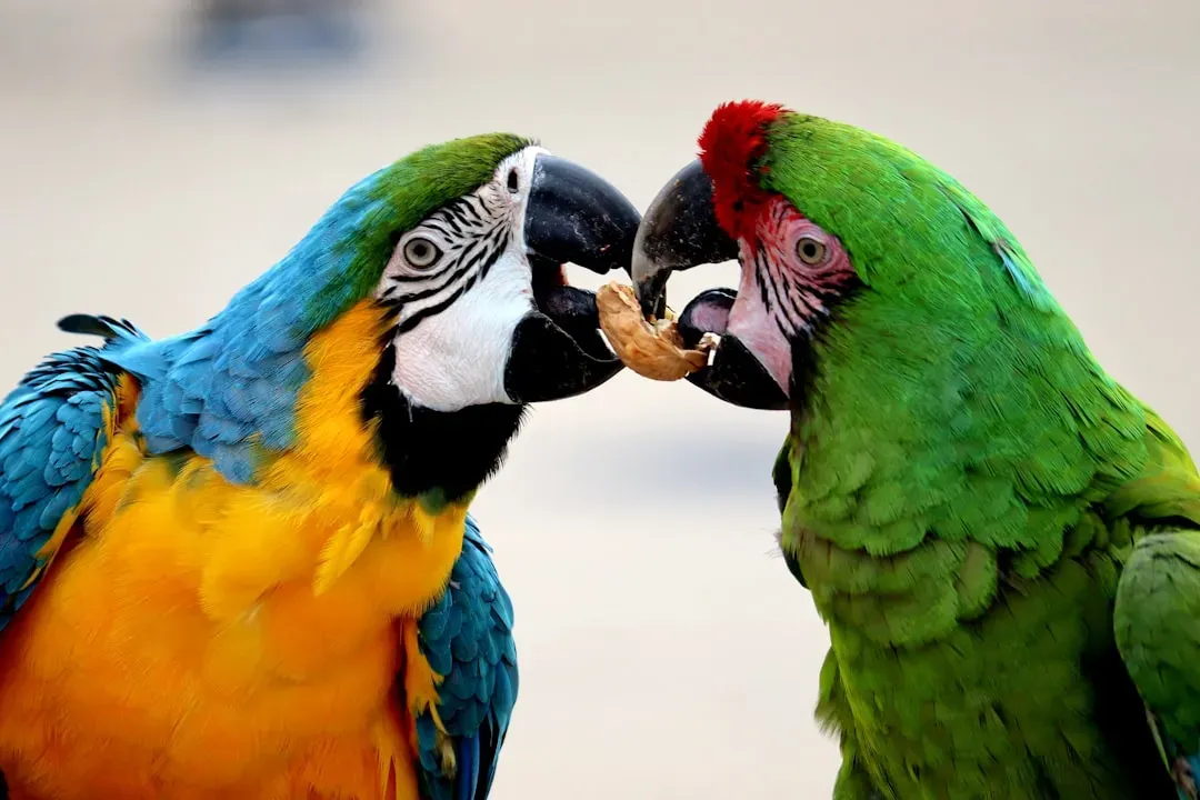 Chemical Signals Through Pheromones (Image Credits: Unsplash)
