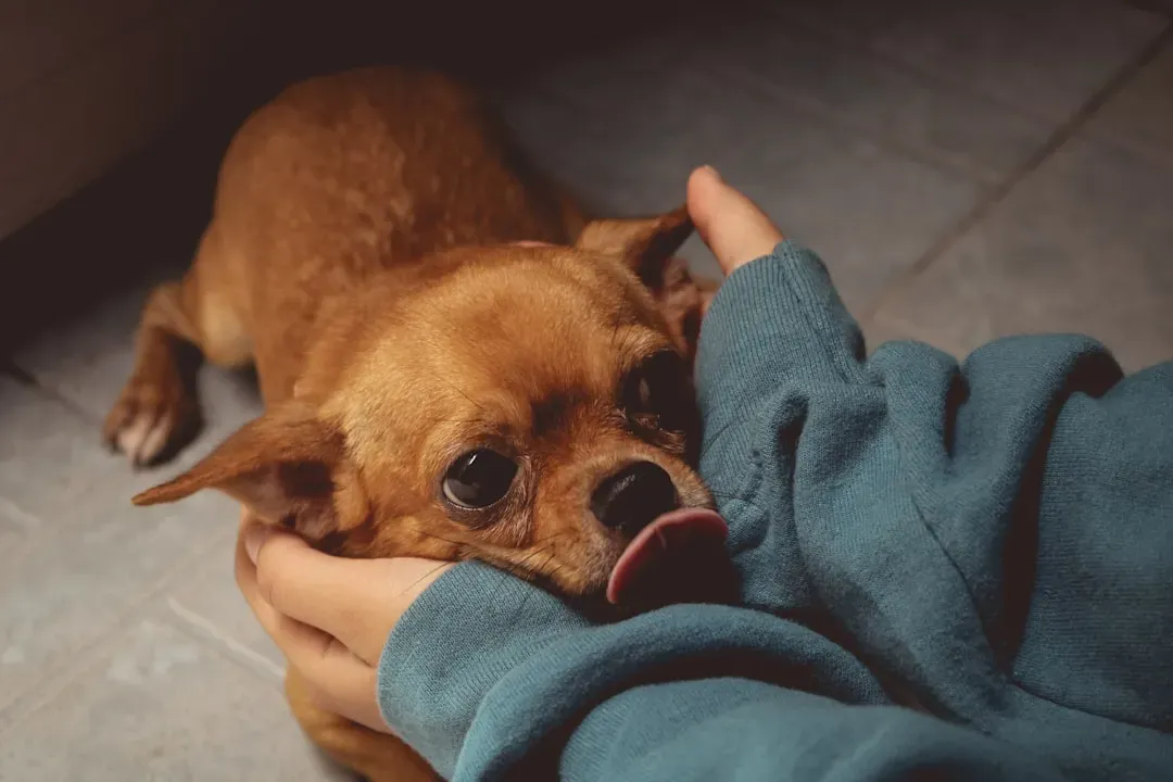 10. Increased Clinginess or Neediness (Image Credits: Unsplash)