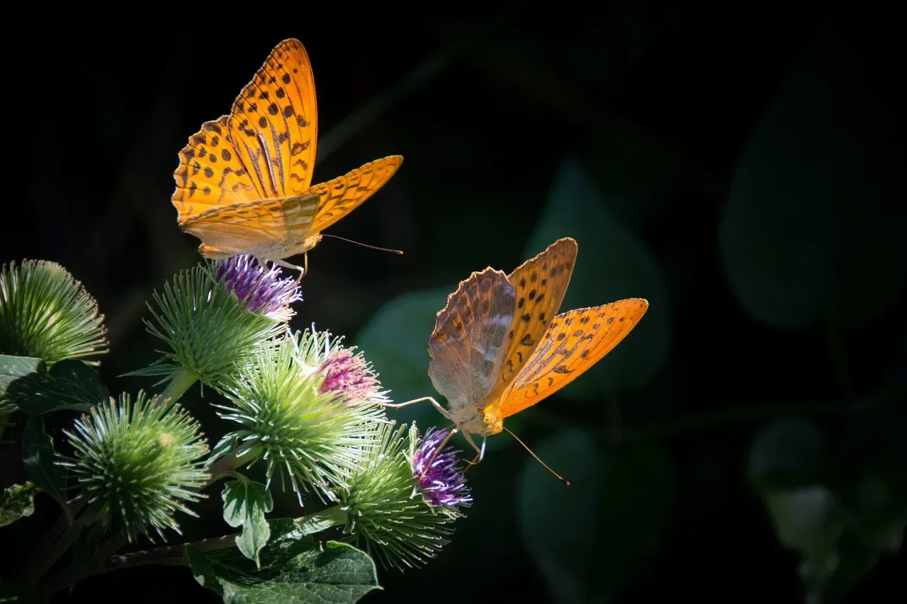 4. Pennsylvania - An Eastern Surprise Powerhouse (Image Credits: Pixabay)