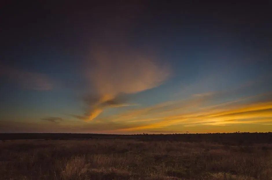 Life on the Savanna After Sunset (Image Credits: Pexels)