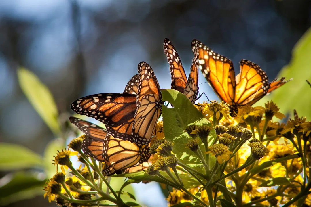 #2 - Migrating Thousands Of Miles Using An Ancient Internal Map (Image Credits: Unsplash)