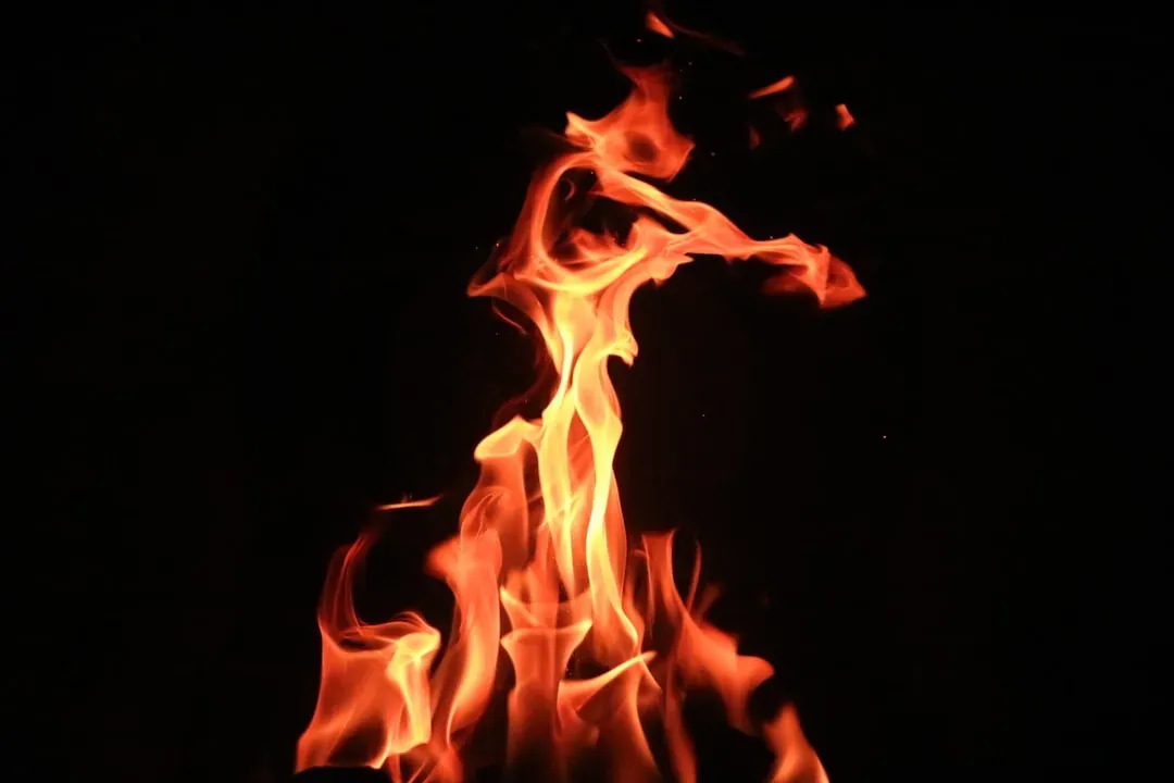 Brain Responses to Firelight (Image Credits: Unsplash)