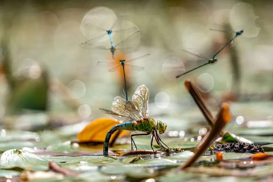 Two very different kinds of swarms (Image Credits: Unsplash)