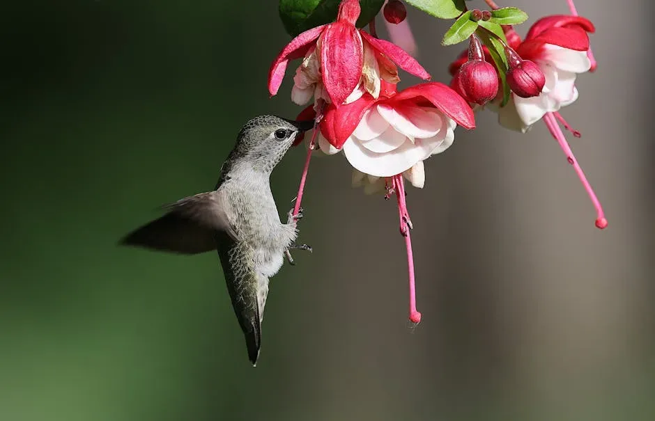 #8: They Eat Constantly and Consume Double Their Body Weight Daily (Image Credits: Pexels)