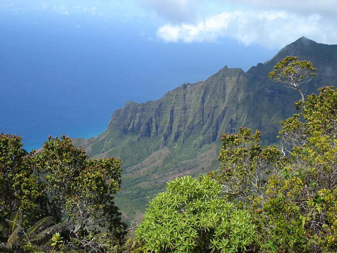 Kauai, Hawaii (Image Credits: Wikimedia)