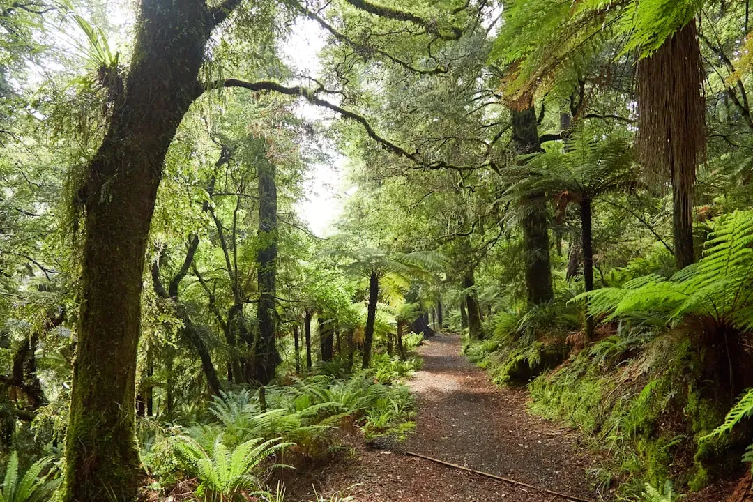#1: Plant Layers of Native Vegetation for Multi-Level Cover (Image Credits: Unsplash)