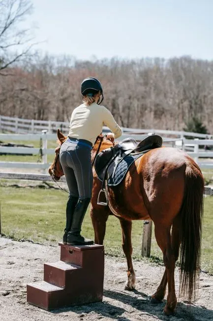 #1 - Mounting Straight from the Ground (Image Credits: Pexels)