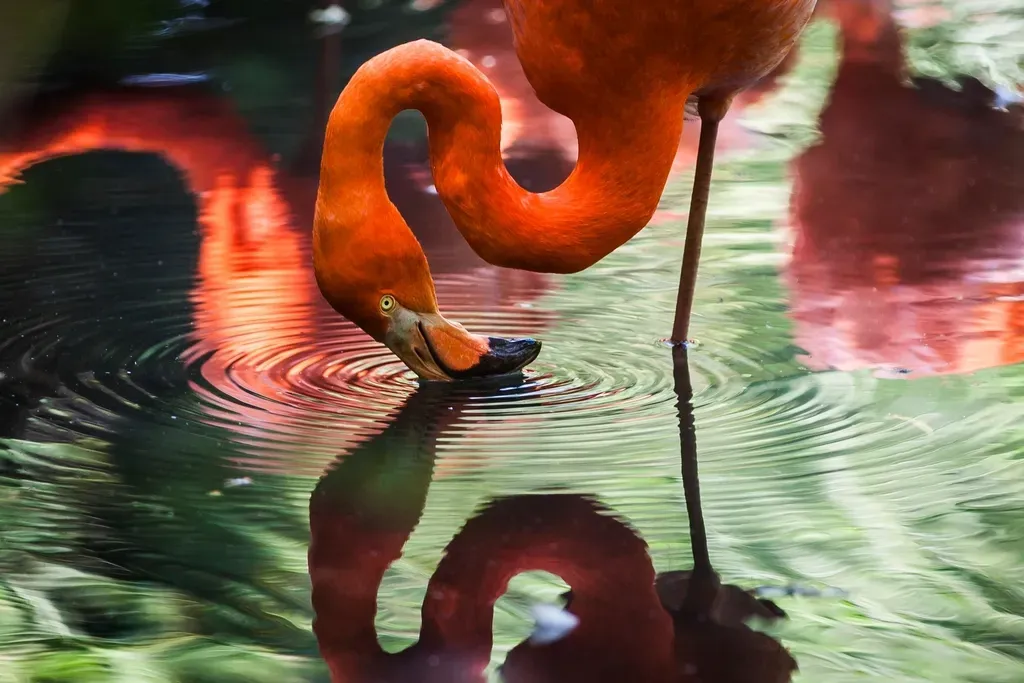 A Bird That Was Always Supposed to Be Here (Image Credits: Rawpixel)
