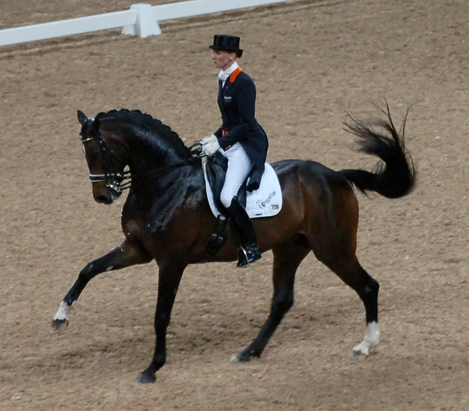 #9 - Hanoverian / Big German Warmbloods: Great Minds, But Big Reactions (By nick, CC BY-SA 3.0)