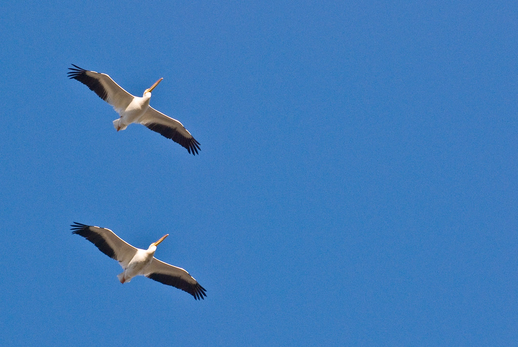 The Future of Quantum Navigation (Image Credits: Flickr)