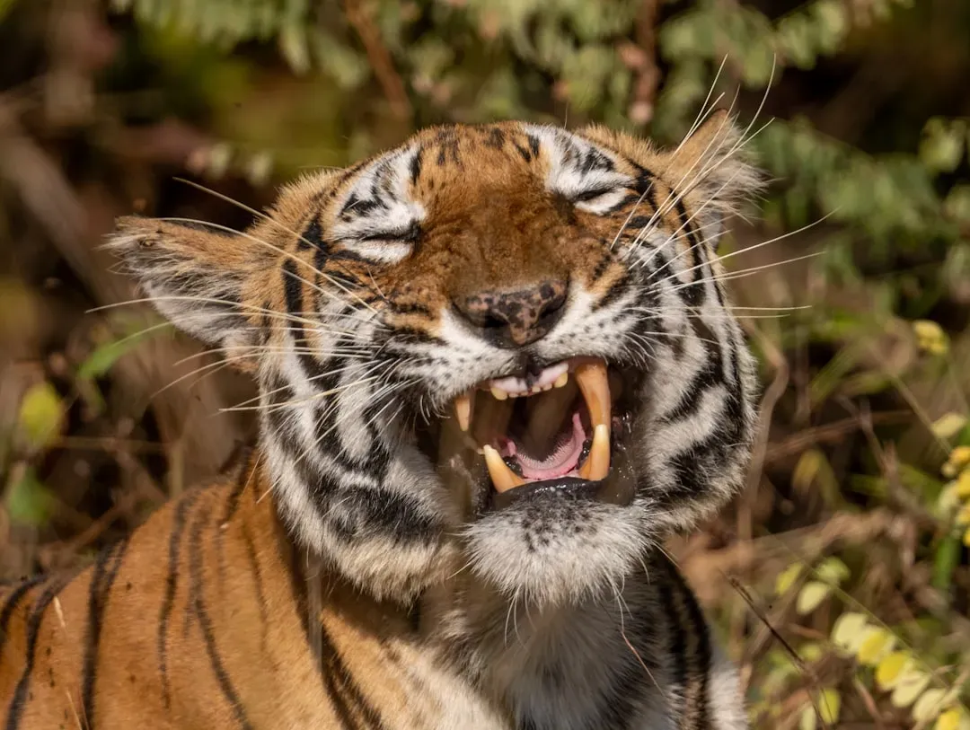 Conclusion: Nature Keeps Surprising Us (Image Credits: Unsplash)