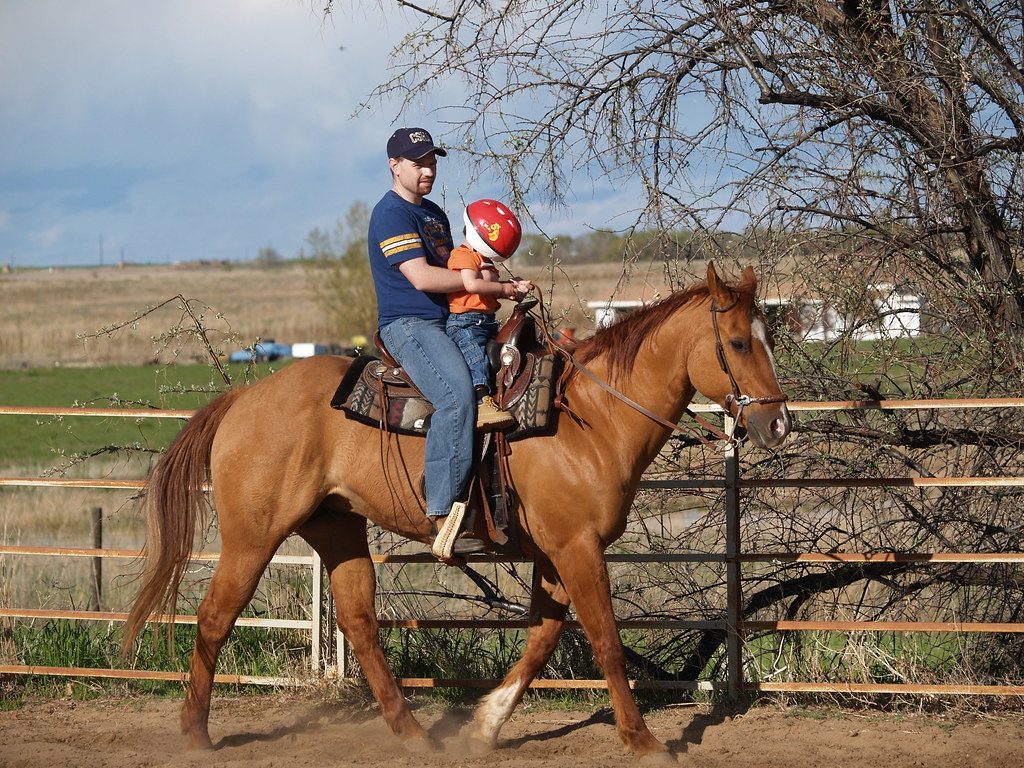 Cancer: The Protective Mare's Heart (Image Credits: Flickr)