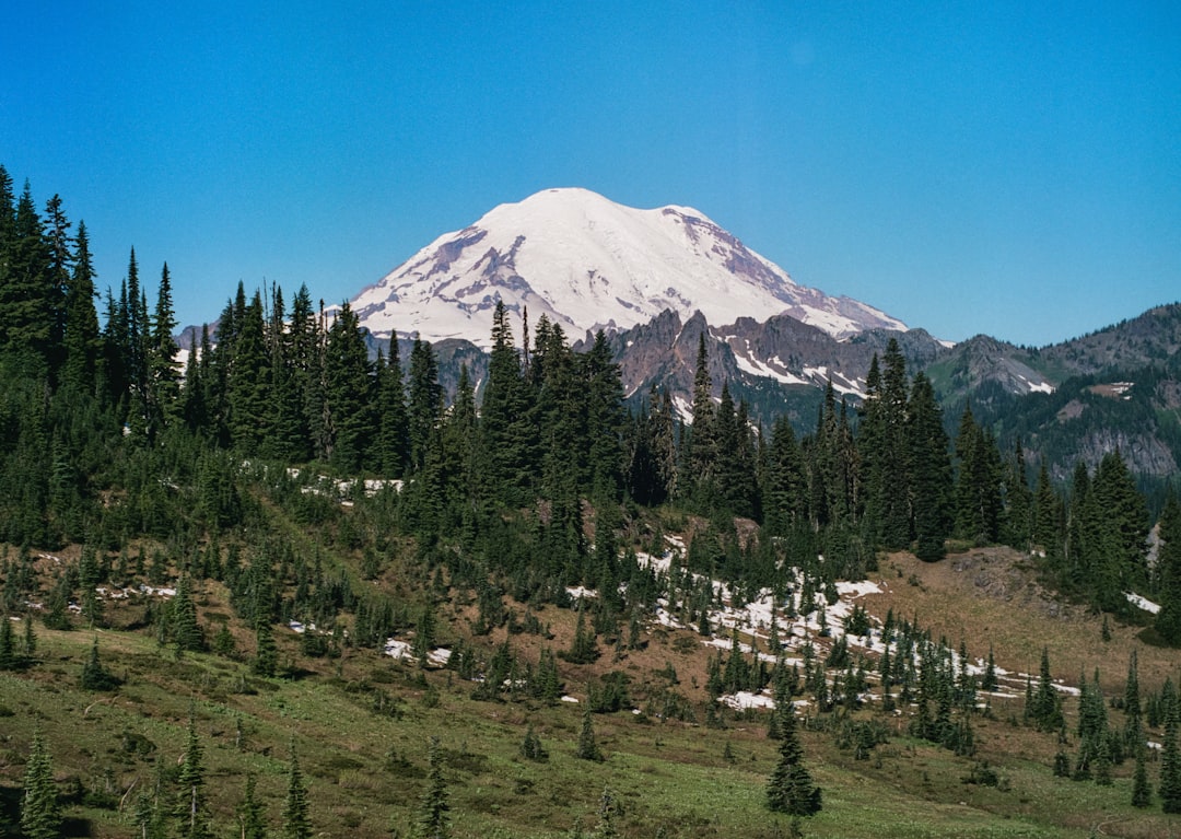 Mount Rainier: Seattle's Sleeping Giant (Image Credits: Unsplash)