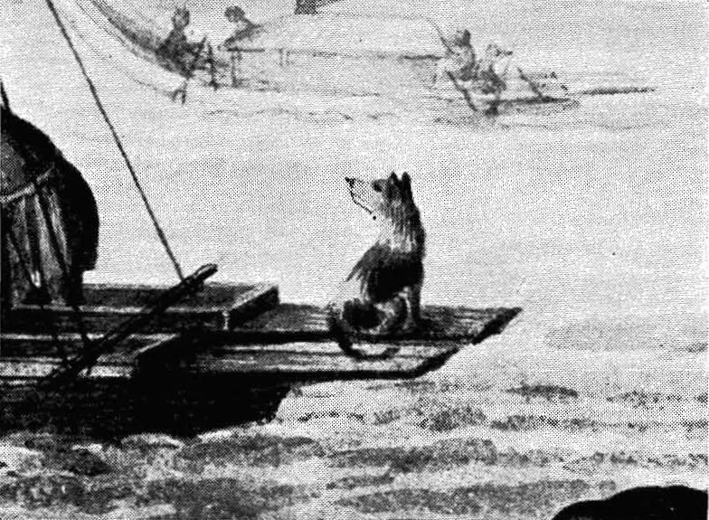 #10 - Kurī (British Museum

Luomala, Katharine (July 1960). "A History of the Binomial Classification of the Polynesian Native Dog". Pacific Science 14 (13): 193&ndash;223. Honolulu: Pacific Science Association., Public domain)