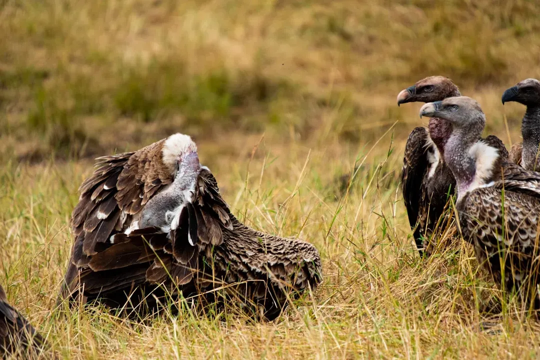 The Ecological Answer: Every Death Sustains Life (Image Credits: Unsplash)