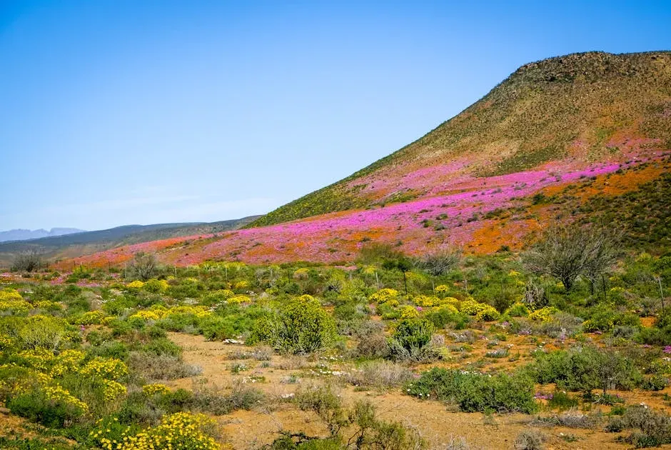Conclusion: A Warning Dressed in Wildflowers (Image Credits: Pexels)