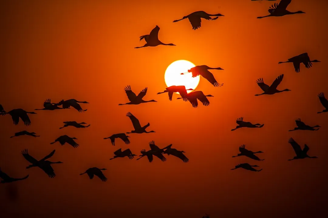 When Timing Becomes the Problem (Image Credits: Unsplash)