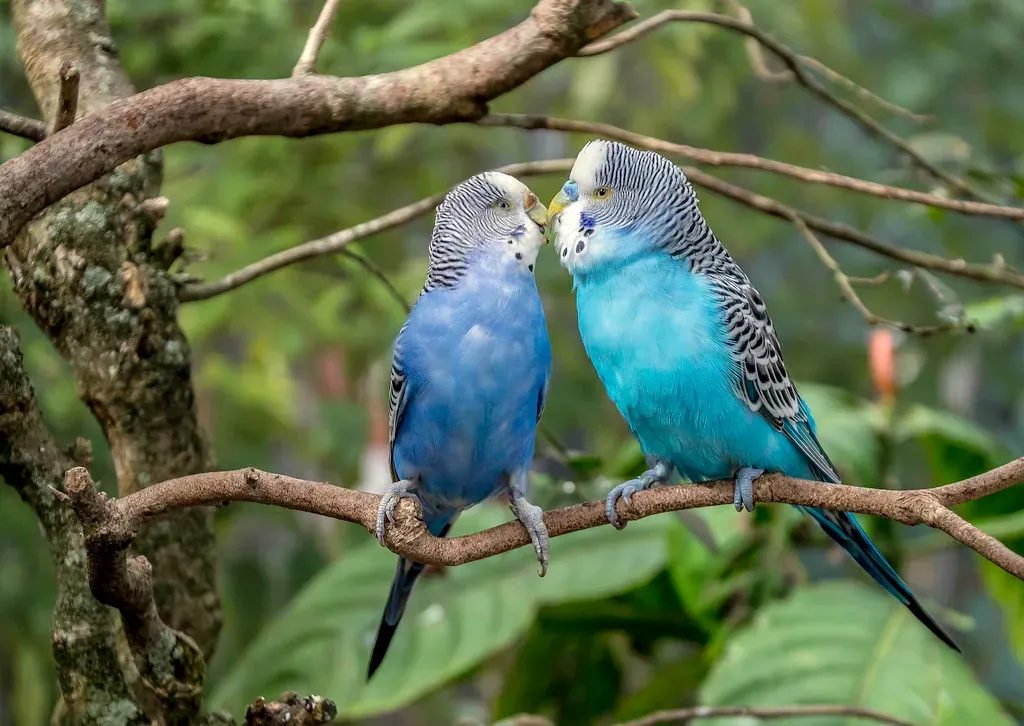 Wrapping It Up: See the Love Everywhere (Image Credits: Flickr)