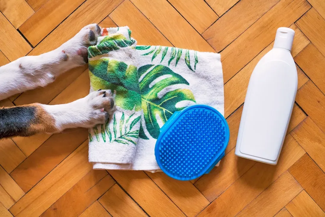 Household Cleaning Products (Image Credits: Unsplash)
