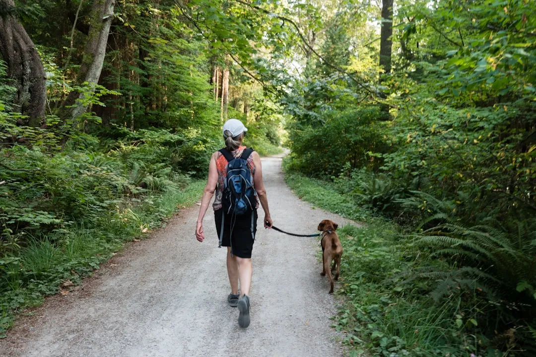 14. Nudging You Toward Experiences Over Possessions (Image Credits: Unsplash)