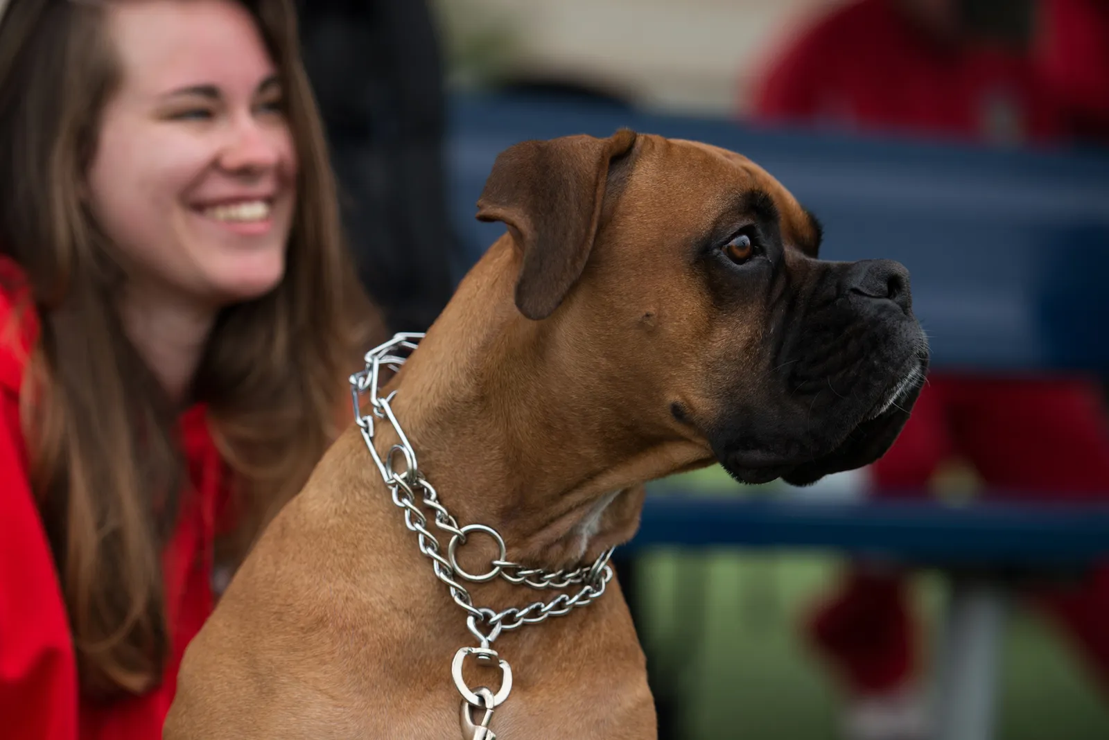 The Science of Emotional Contagion Between Humans and Pets (By Cpl. Allison Beiswanger, Public domain)