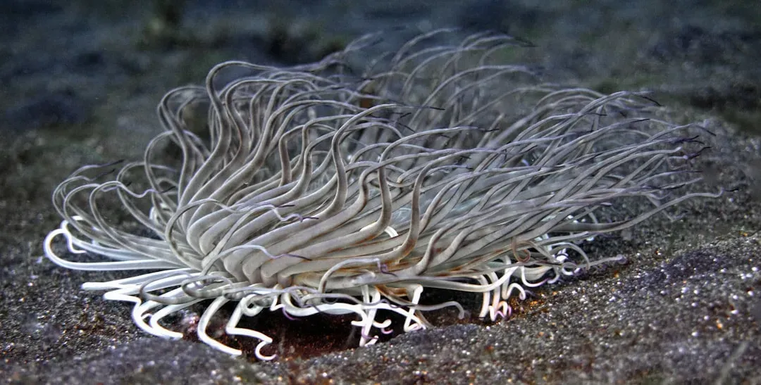 7. Giant Tube Worms (Image Credits: Unsplash)