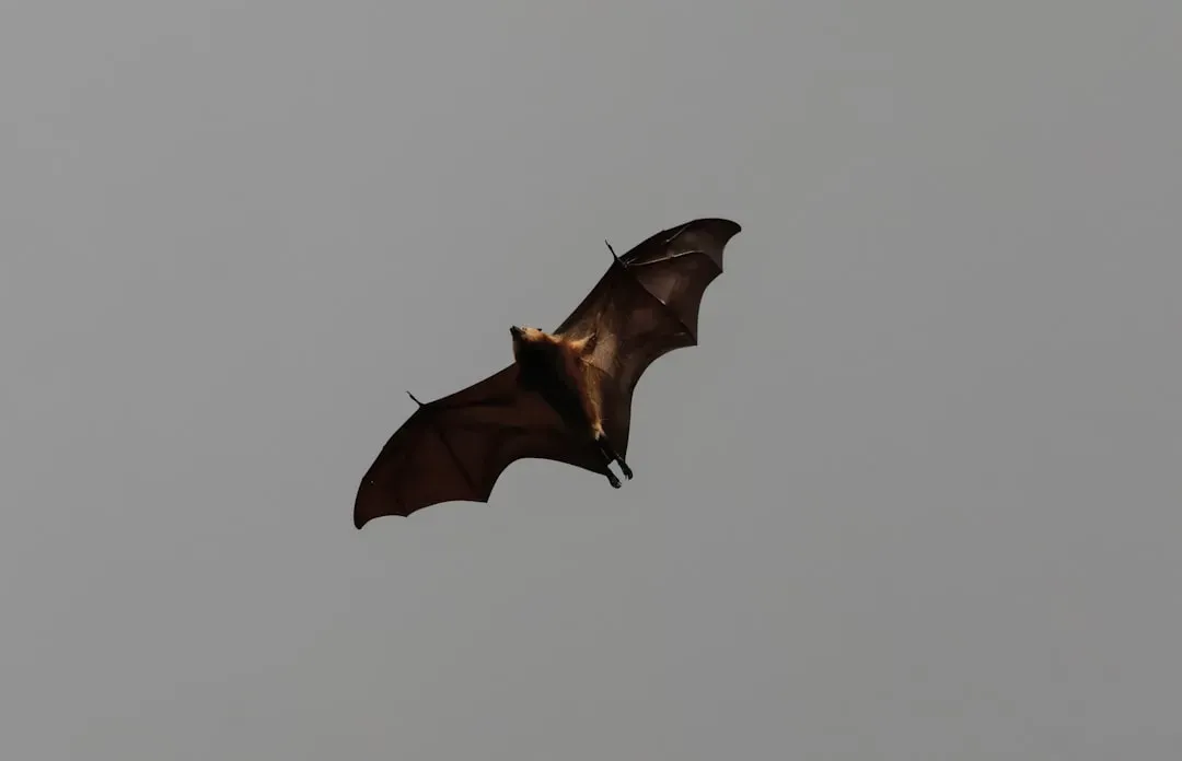 Bats Are in Serious Trouble and So Is Everything That Depends on Them (Image Credits: Unsplash)