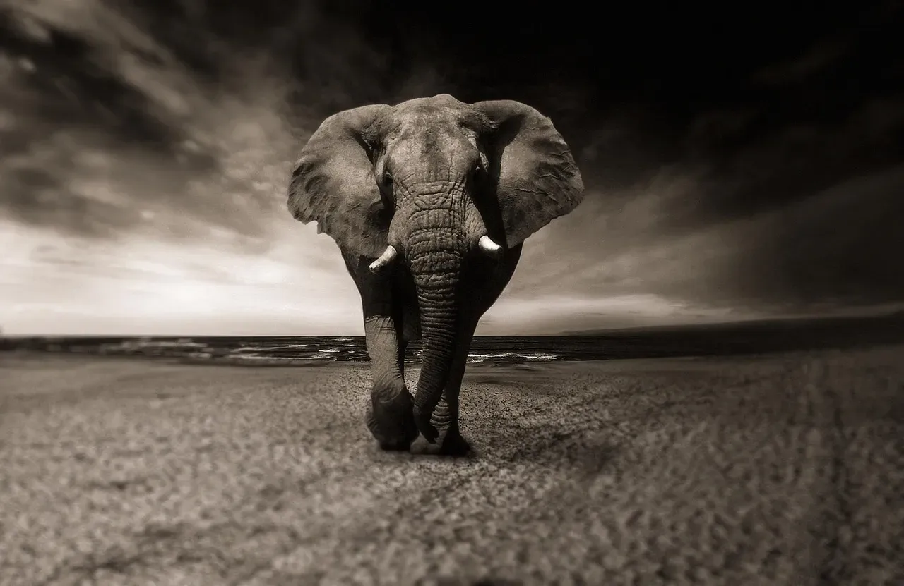 Conclusion: Nature Was Never as Simple as We Wanted It to Be (Image Credits: Pixabay)