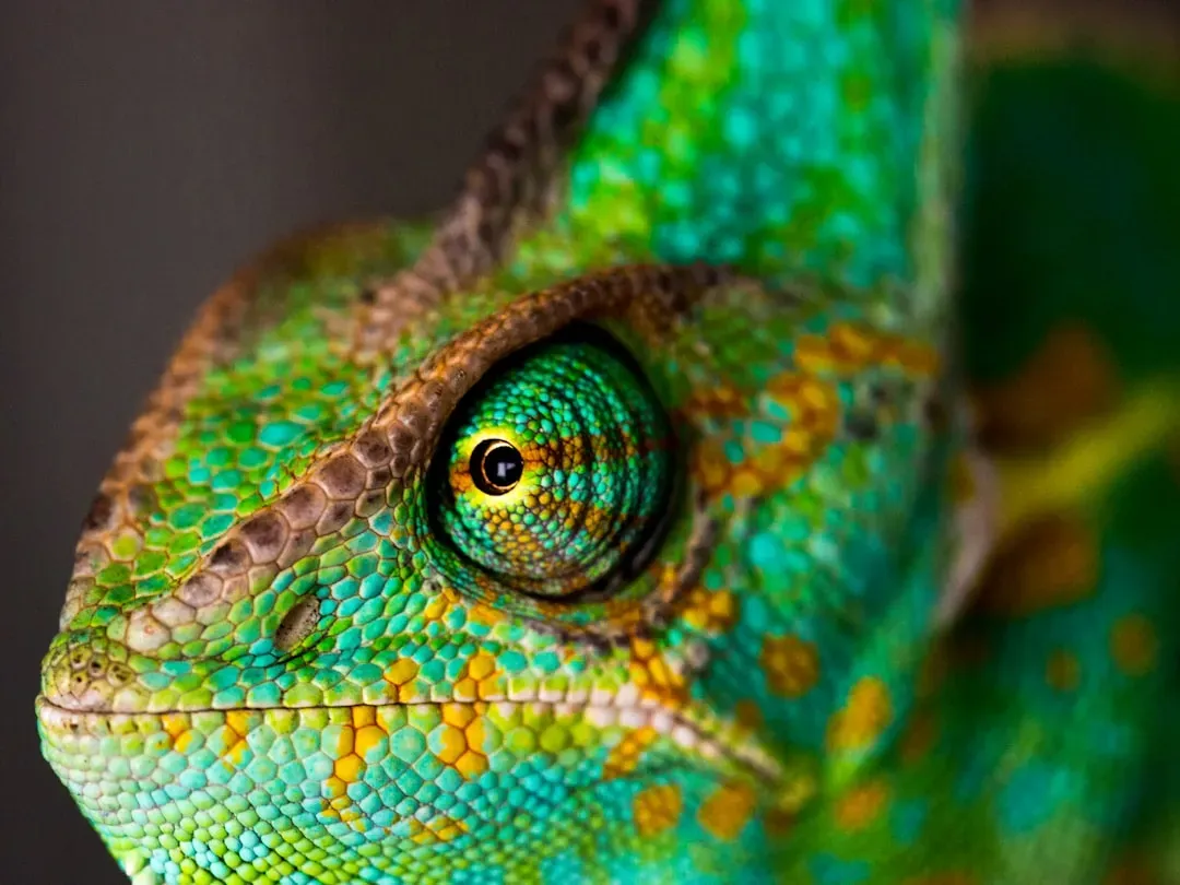 #2: Nanocrystals, Not Pigment, Drive the Color Shifts (Image Credits: Unsplash)
