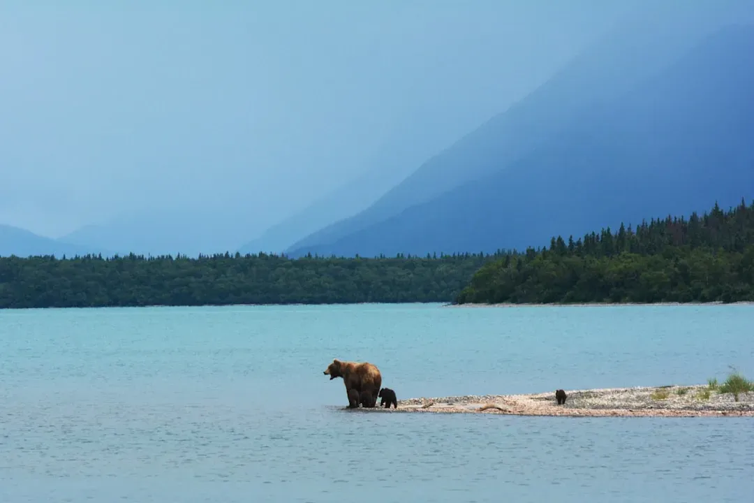 The Proximity to National Parks (Image Credits: Unsplash)