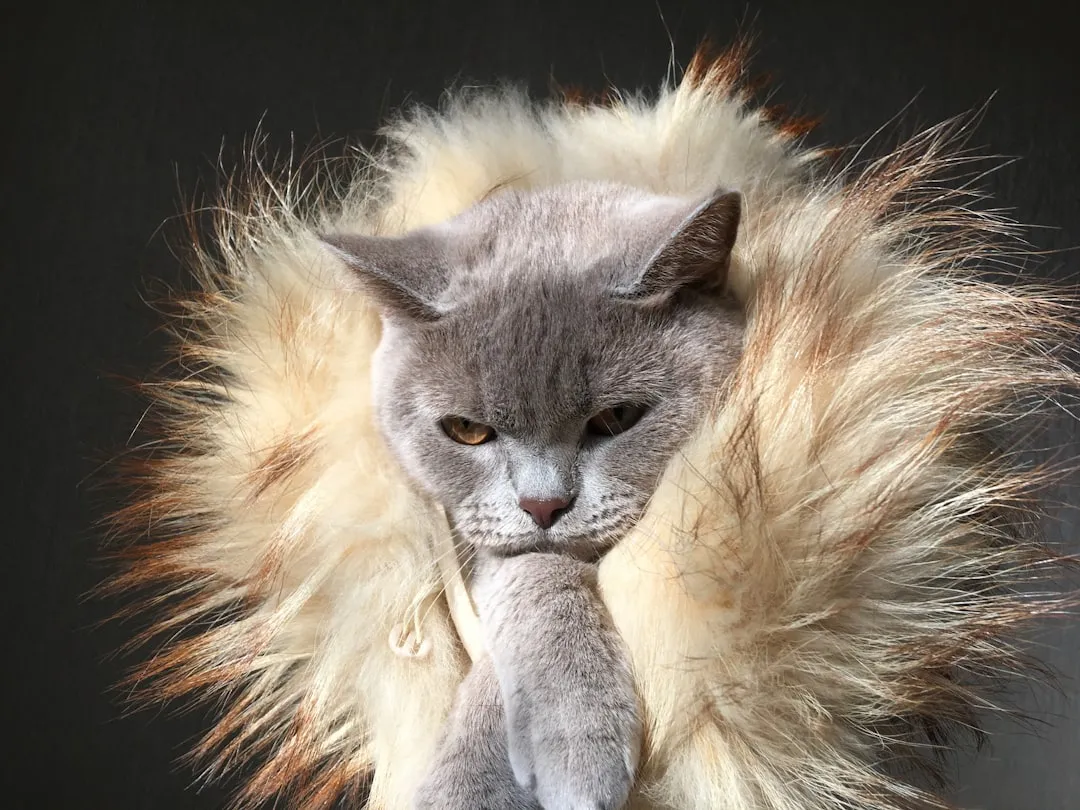 #5: Grooming Less and Letting Their Coat "Go" (Image Credits: Unsplash)