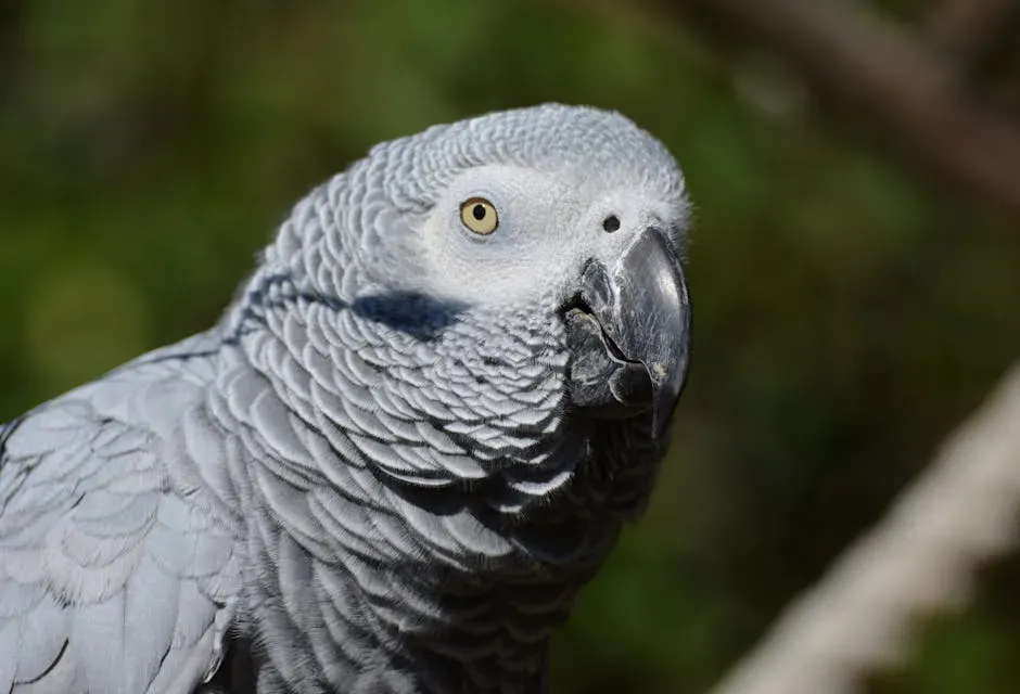 Devastation to Endangered Species (Image Credits: Pexels)