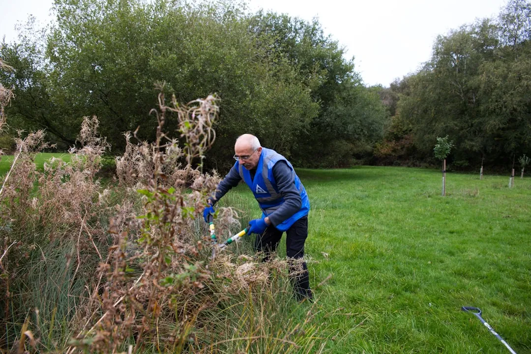 Removing Invasive Species That Choke Out Habitat (Image Credits: Unsplash)