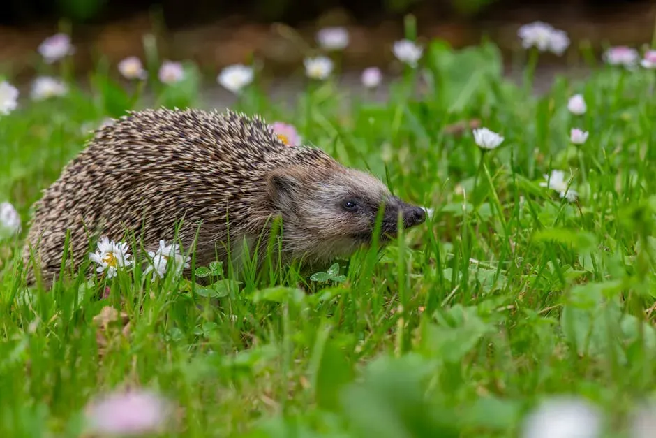 Ditch the Pesticides and Embrace a Little Wildness (Image Credits: Pexels)