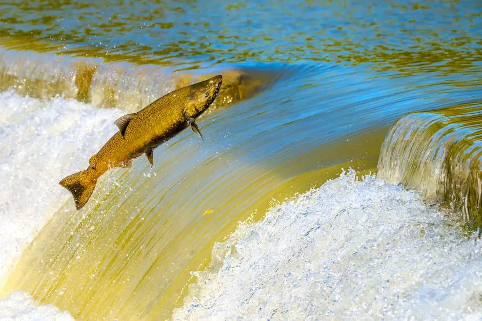 Chinook Salmon: The Klamath River's Stunning Return (Image Credits: Pexels)