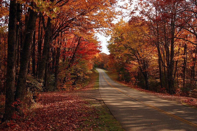 #14 Blue Ridge Parkway, Virginia/North Carolina (Image Credits: Flickr)