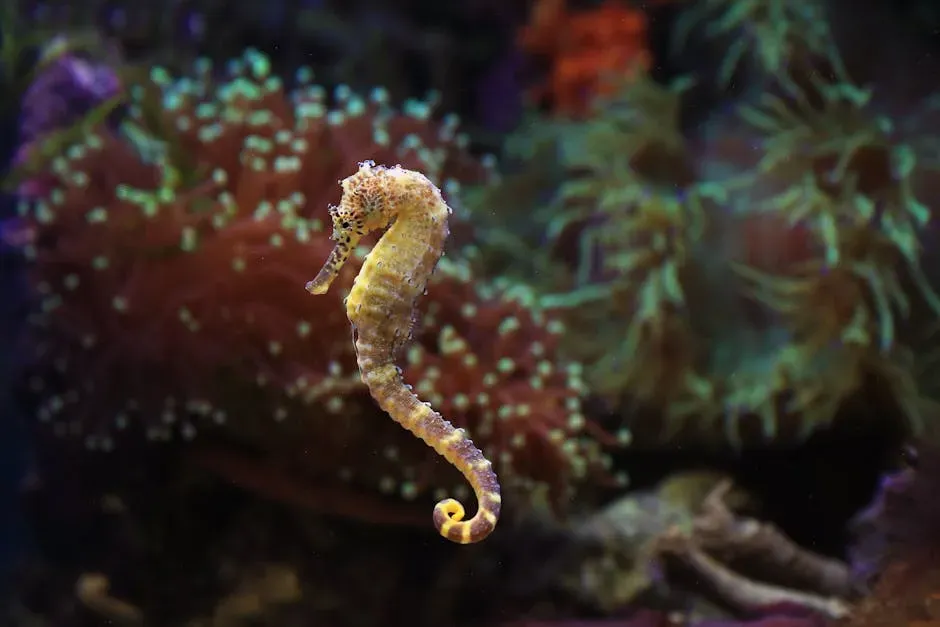 Seahorse: Moody Ocean Chameleons (Image Credits: Pexels)