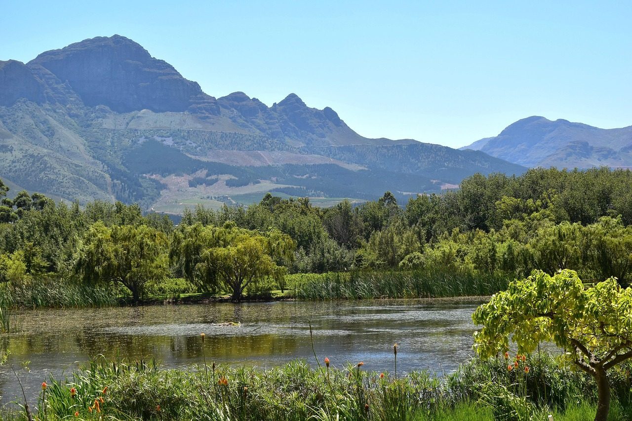 South Africa's Cape Winelands (Image Credits: Pixabay)