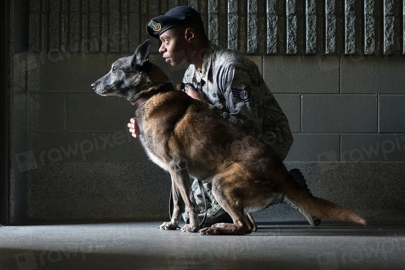 New Orleans: A City Made for Dogs (Image Credits: Rawpixel)