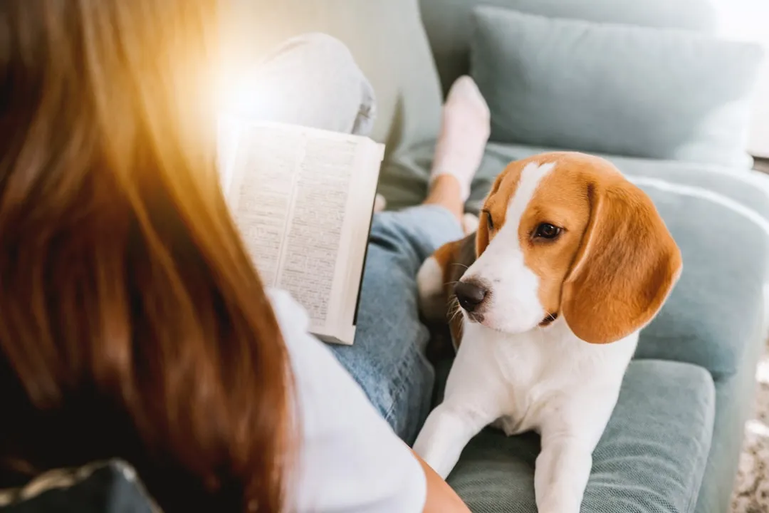 #6 - They Choose You Over the Doorbell (Image Credits: Unsplash)