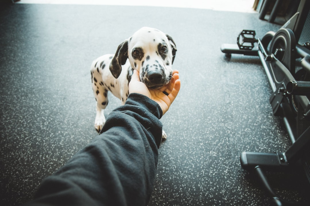 Creating Lasting Change Through Understanding (Image Credits: Unsplash)