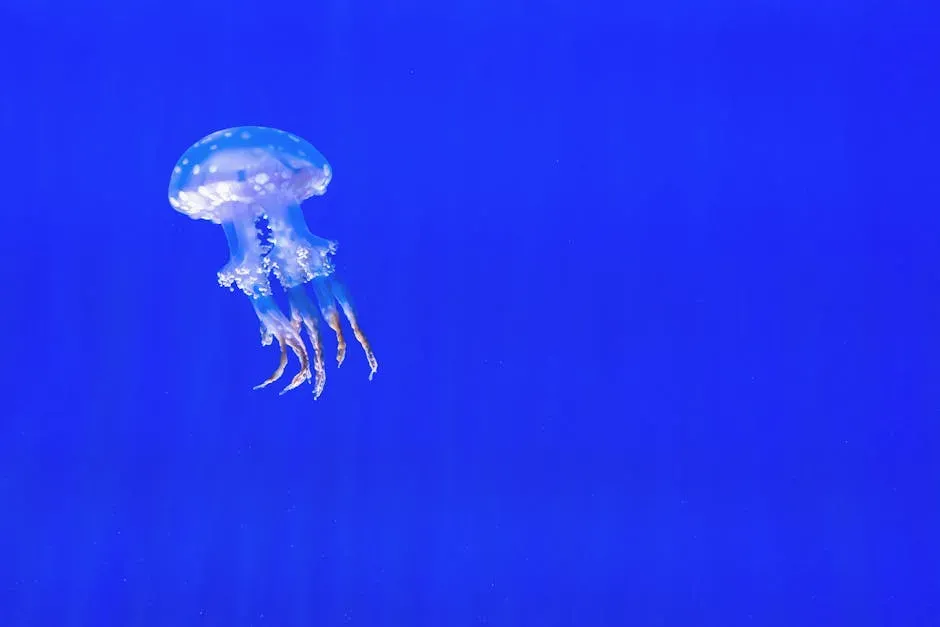 Pisces: The Jellyfish - Escapist, Victimhood-Prone, Lost in Fantasy (Image Credits: Pexels)