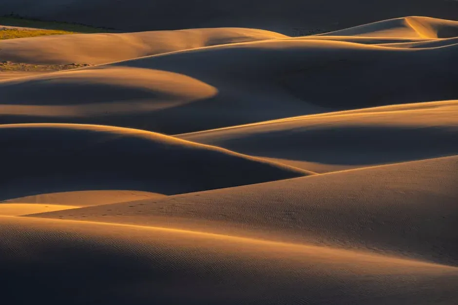 Great Sand Dunes National Park, Colorado: Mountains of Sand in the Rockies (Image Credits: Pexels)