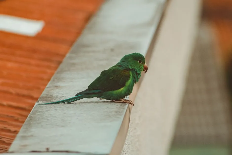 #6 Why solitude seems to help rather than hinder learning (Image Credits: Pexels)