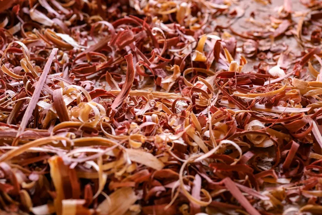 #6: Cedar and Pine Wood Furniture or Shavings (Image Credits: Unsplash)