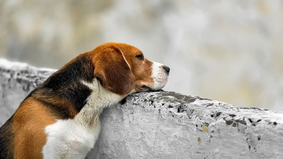#7 - The Grief You're Trying to Hide (Image Credits: Pexels)