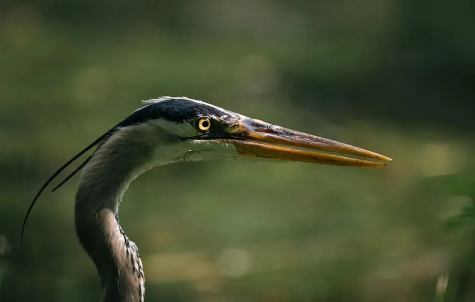 #1: They Have a Spring-Loaded Neck That Strikes Faster Than the Eye Can Follow (Image Credits: Pexels)